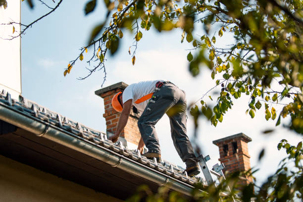 Best Roof Maintenance Services  in Vineyard, CA